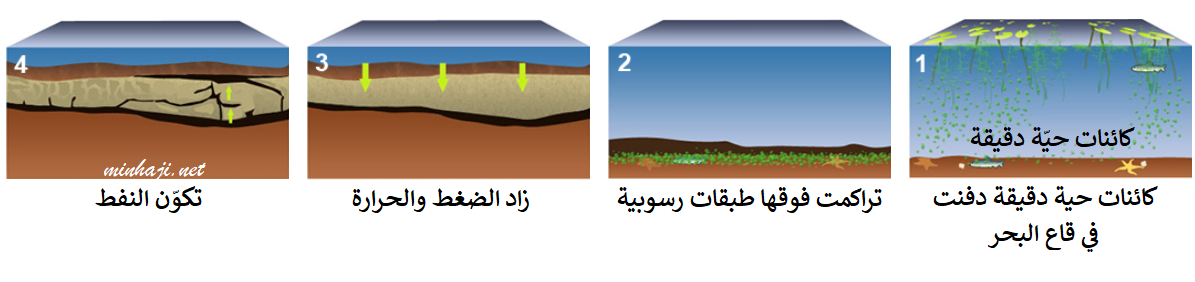 مراحل تكون النفط